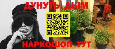 стафф Малоярославец
