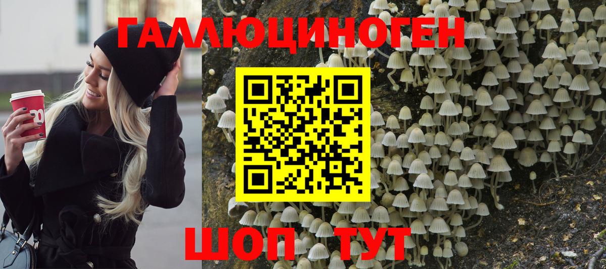 Галлюциногенные грибы Psilocybe  Вход с VPN  Рузаевка 
