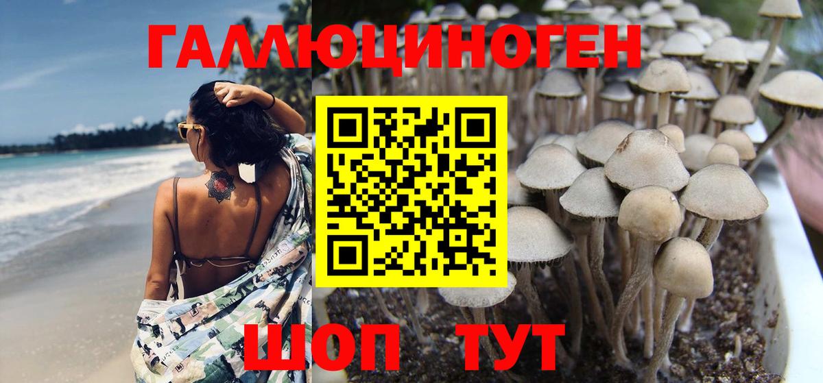 Псилоцибиновые грибы GOLDEN TEACHER Рузаевка